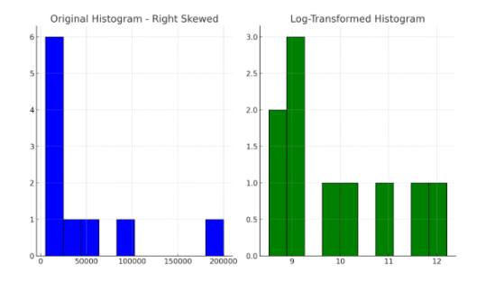 Log Transformed Histogram